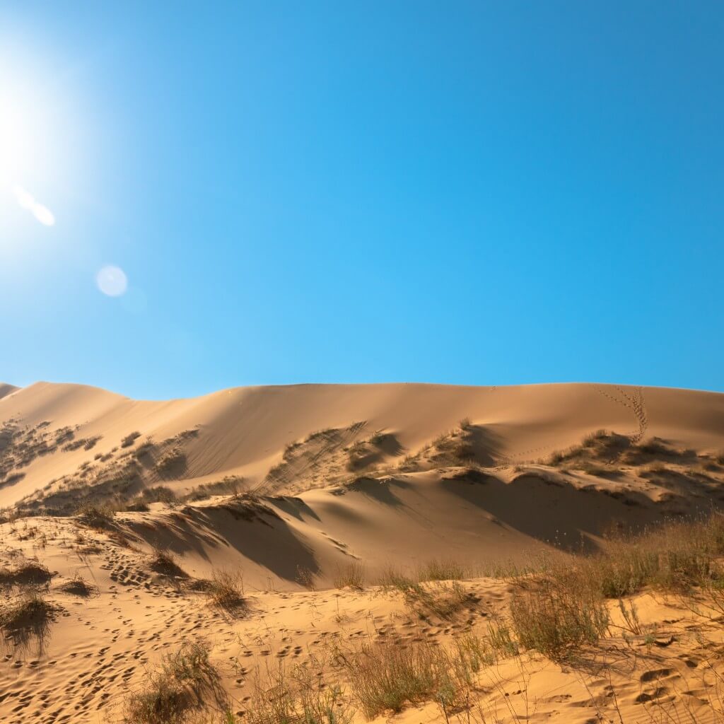 Бархан Сарыкум